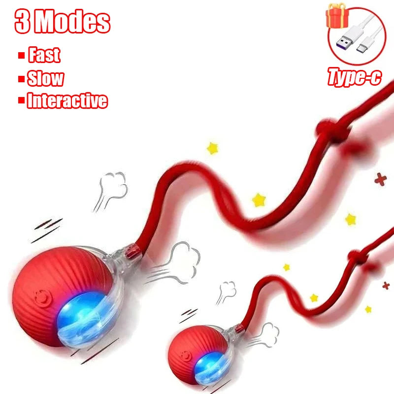 Automatic Rolling Cat & Dog Ball Toy