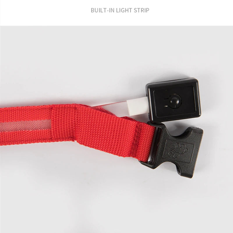 Keep Your Pet Safe at Night – 3-Mode USB LED Glow Collar for Dogs & Cats
