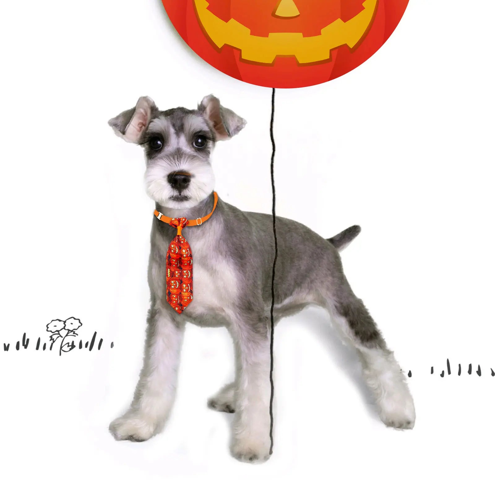10PCS Adjustable Pet Bowties – Halloween Pumpkin Print Dog & Cat Neck Ties