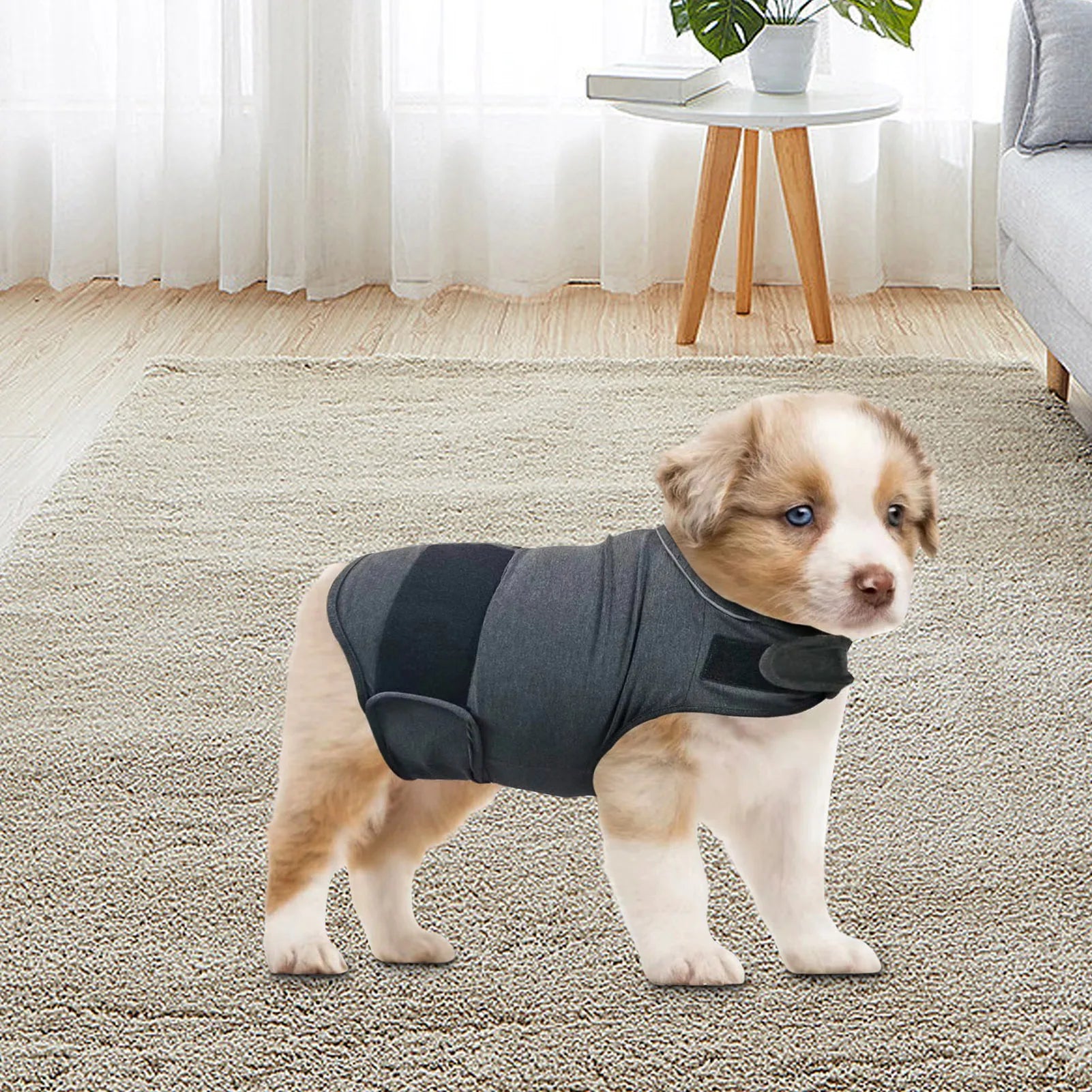Classic Dog Anxiety Jacket – Breathable Thunder Vest for Stress Relief