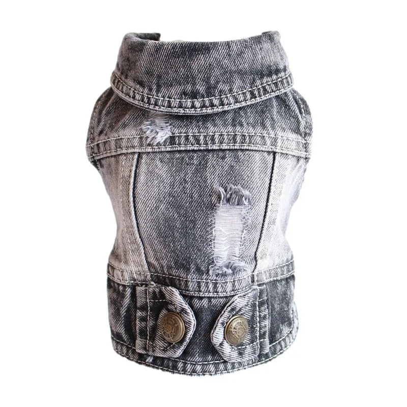 Thin Denim Dog Jacket – Fashionable Coat for Small & Medium Dogs