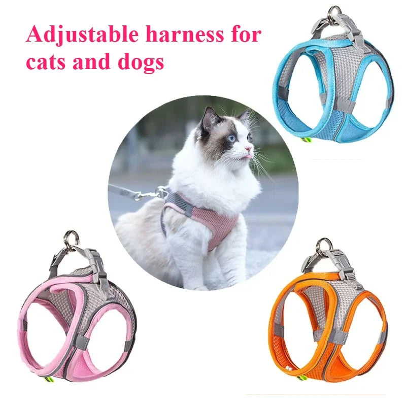 Indestructible Chew Toy – Interactive Plush for Cats & Dogs