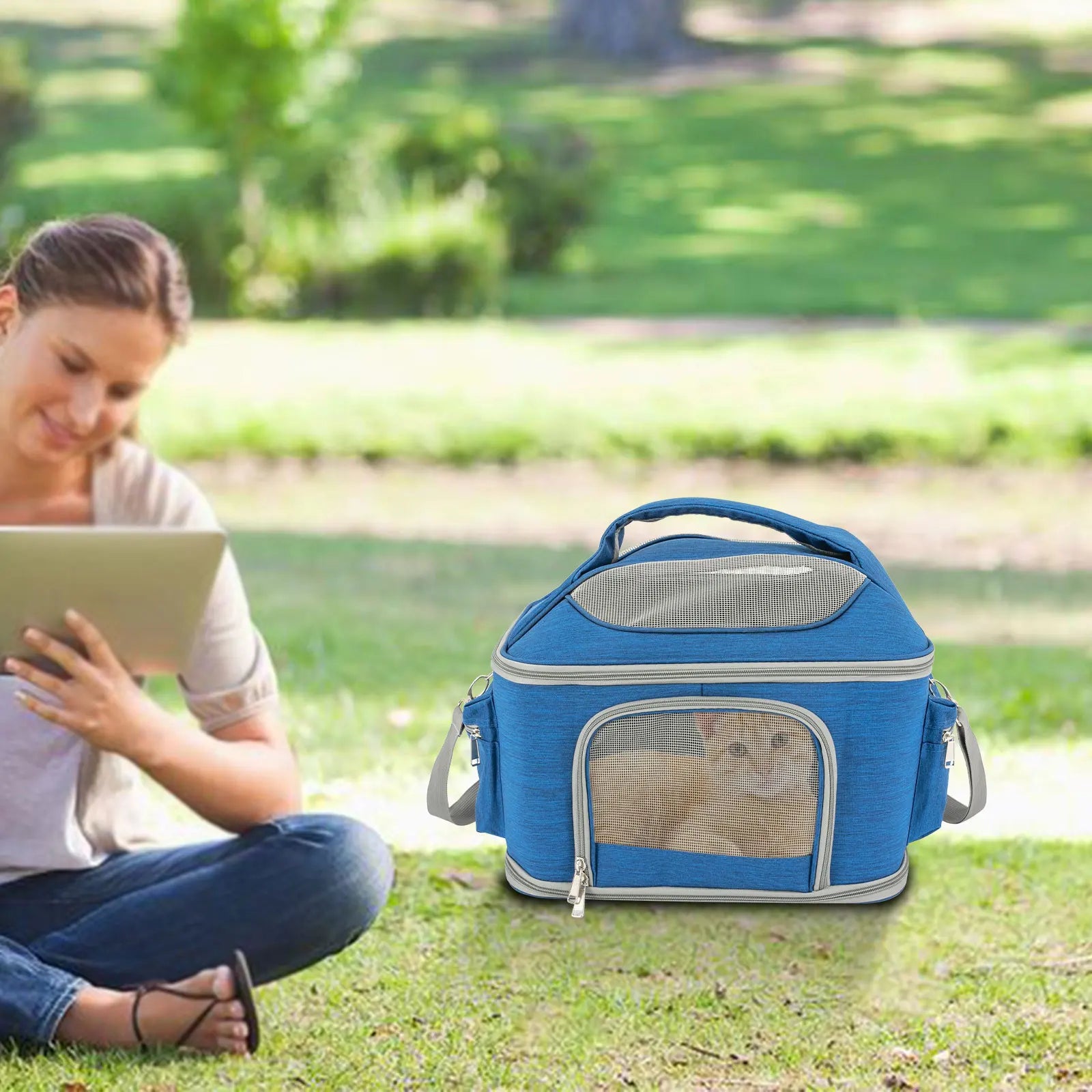 Blue Collapsible Pet Carrier – Waterproof Oxford Travel Bag