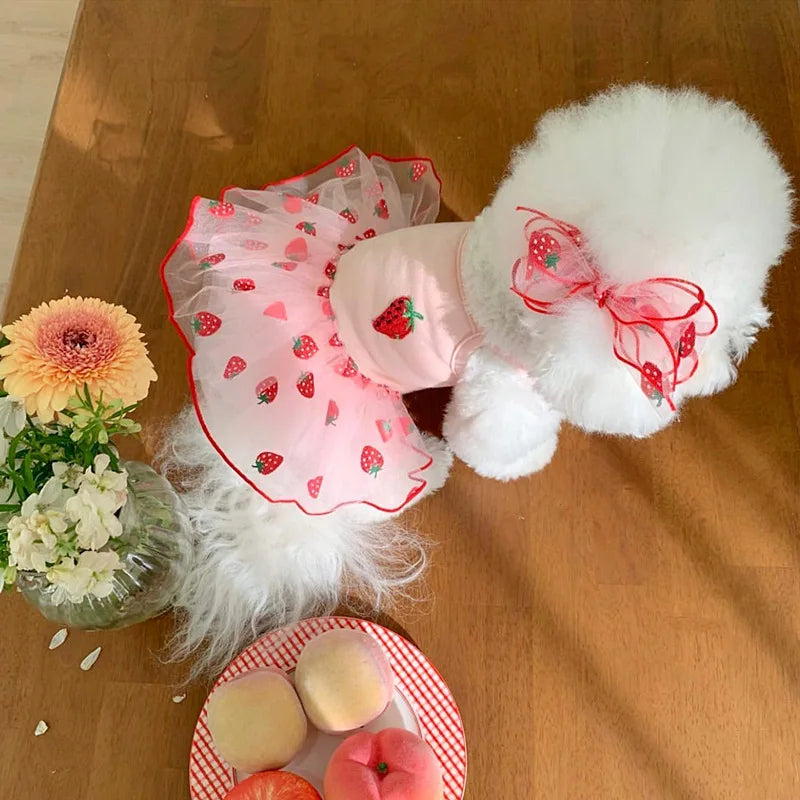 Summer Strawberry Mesh Dress – Dog & Cat Pet Clothing