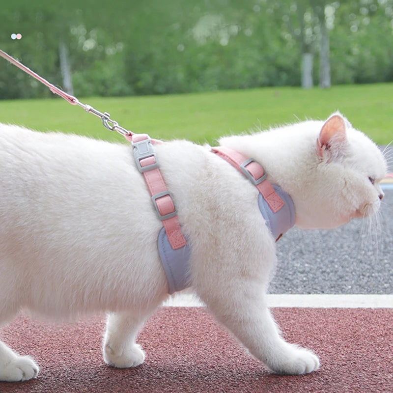 Puppy & Small Dog Harness with Leash – Breathable Vest