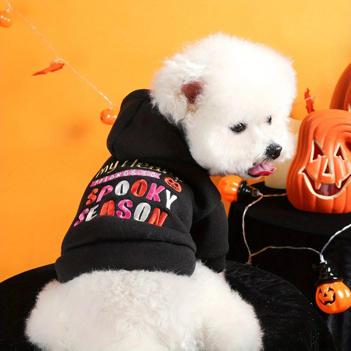 Thriller Season Halloween Pet Hoodie – Black Embroidered Dog & Cat Sweater with Buttons and Leash Hole