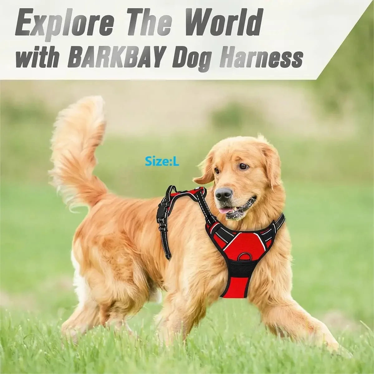 Dog Collar, Harness & Leash Set – Leather Puppy Accessories