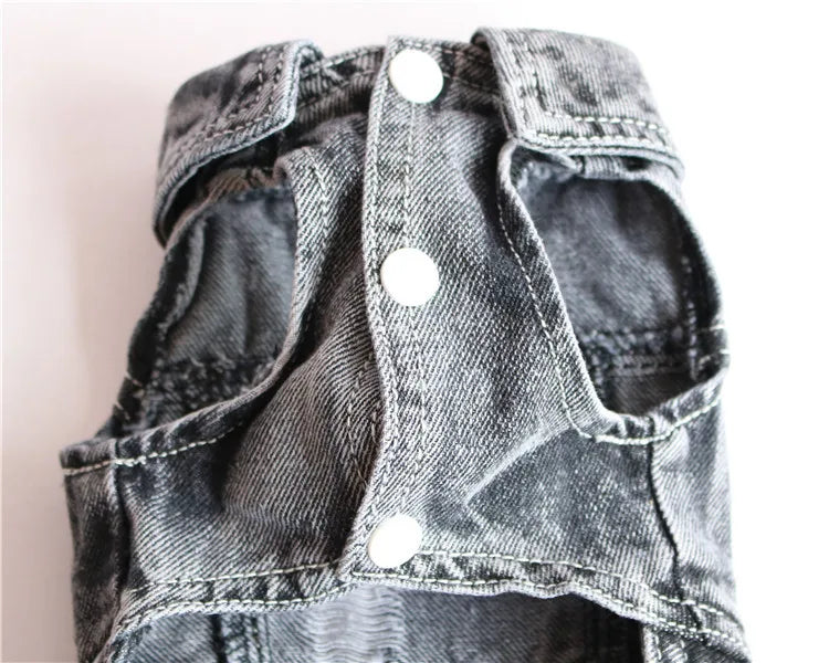 Thin Denim Dog Jacket – Fashionable Coat for Small & Medium Dogs