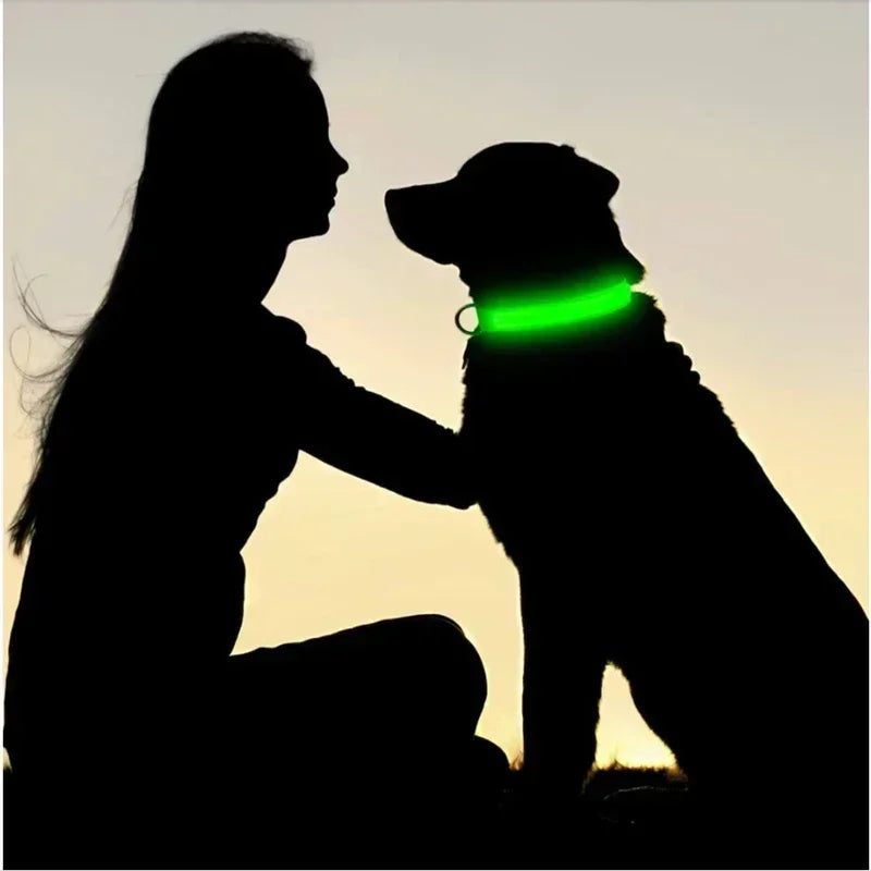 LED Glowing Dog Collar – Adjustable Rechargeable Night Safety Light