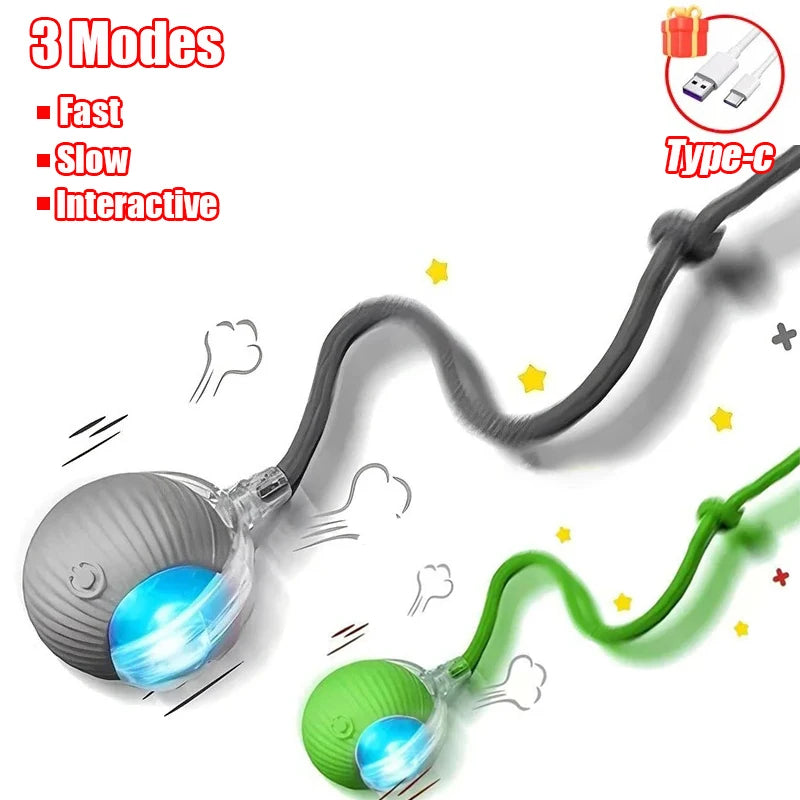 Automatic Rolling Cat & Dog Ball Toy