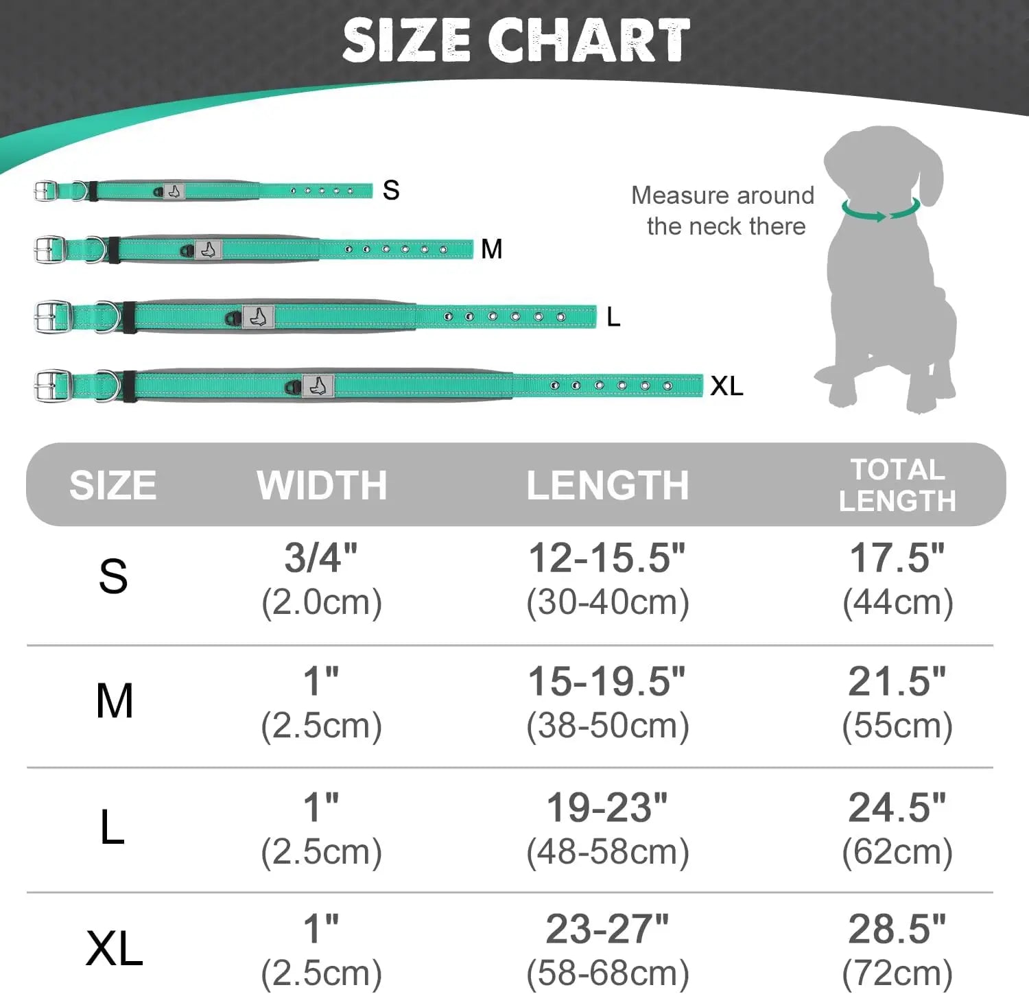 Padded Reflective Dog Collar – Heavy Duty Adjustable