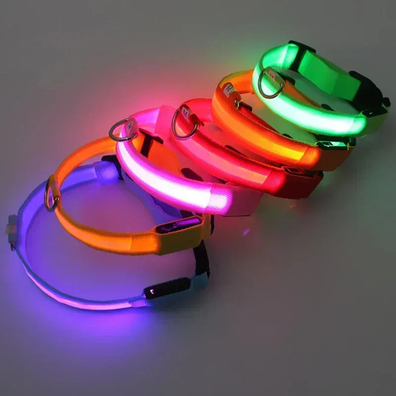 LED Glowing Dog Collar – Adjustable Rechargeable Night Safety Light