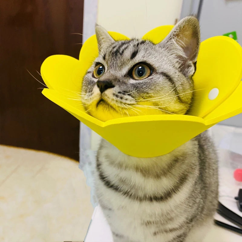 Adorable Flower Recovery Collar – Soft & Adjustable Protective Cone for Cats, Puppies, and Kittens