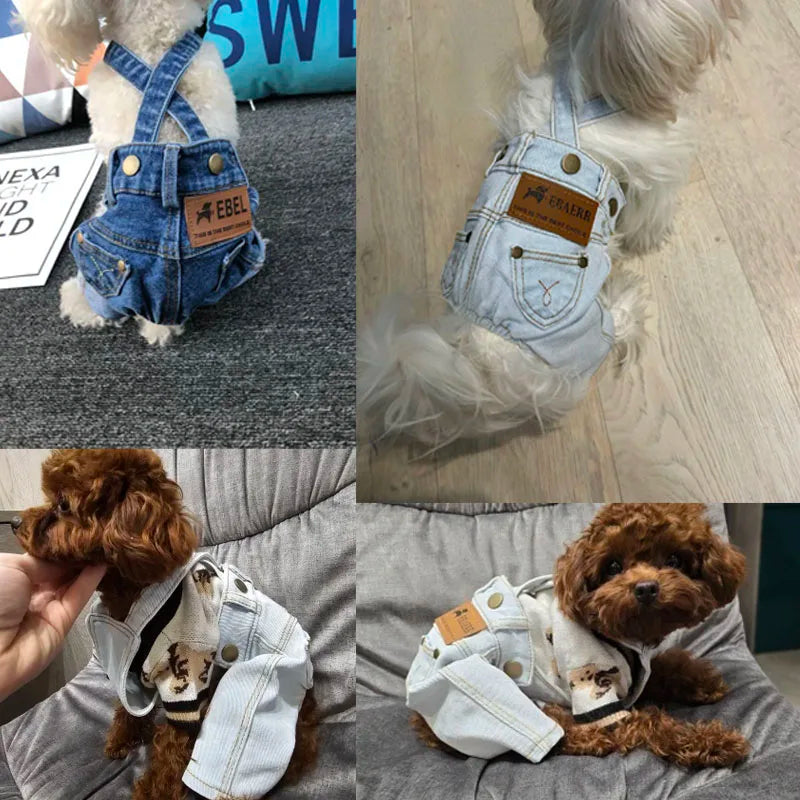 Denim Pet Jumpsuit – Stylish Jean Jacket for Small & Medium Dogs