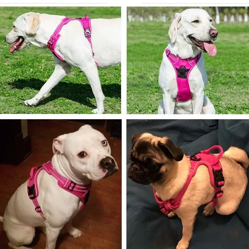 Reflective Adjustable Dog & Cat Harness Vest