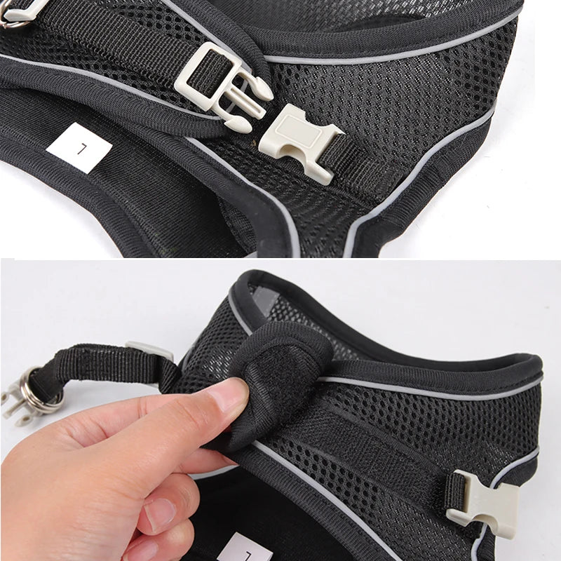 Adjustable Dog & Cat Harness with Leash – Small Breeds