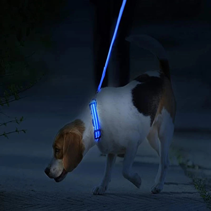 Keep Your Pet Safe at Night – 3-Mode USB LED Glow Collar for Dogs & Cats