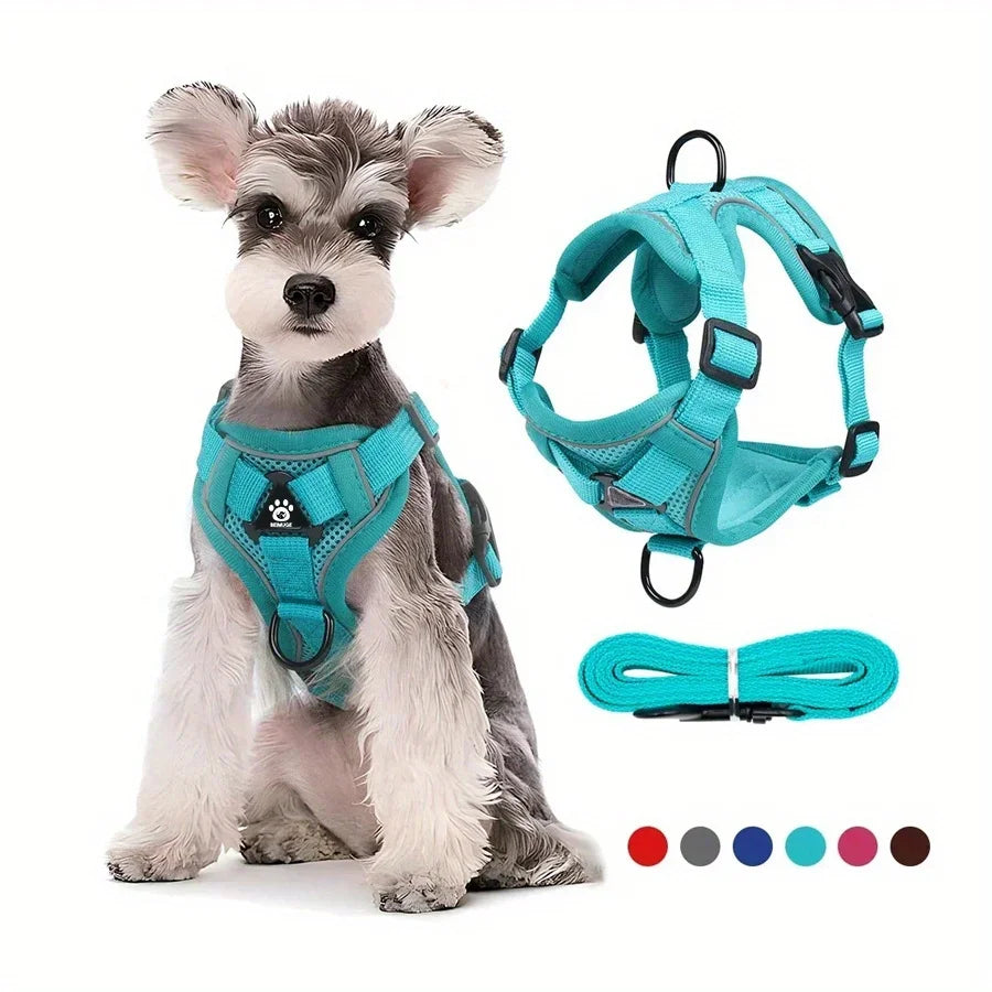 No-Pull Adjustable Dog & Cat Harness with Leash