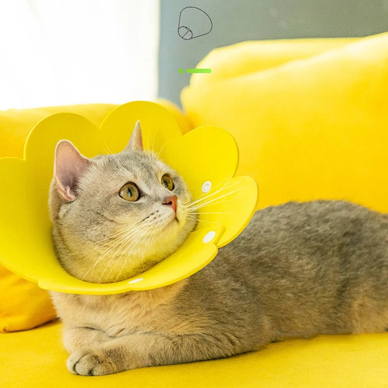 Adorable Flower Recovery Collar – Soft & Adjustable Protective Cone for Cats, Puppies, and Kittens