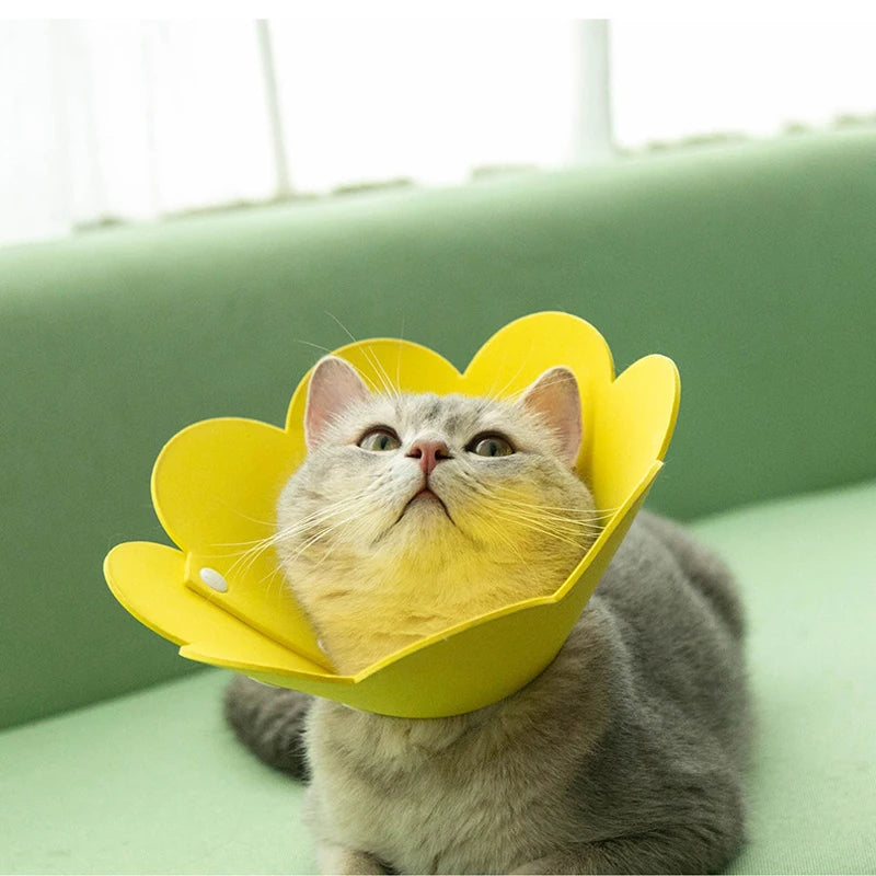 Adorable Flower Recovery Collar – Soft & Adjustable Protective Cone for Cats, Puppies, and Kittens