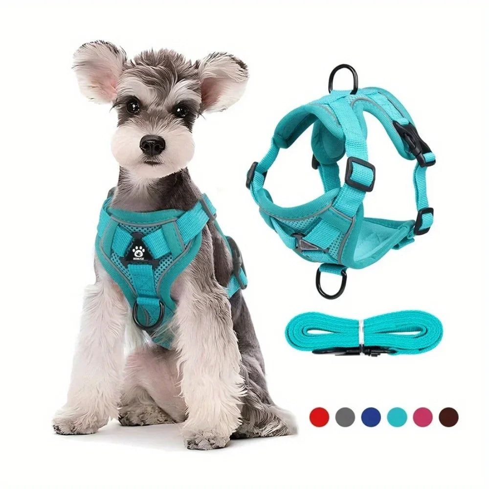 No-Pull Adjustable Dog & Cat Harness with Leash