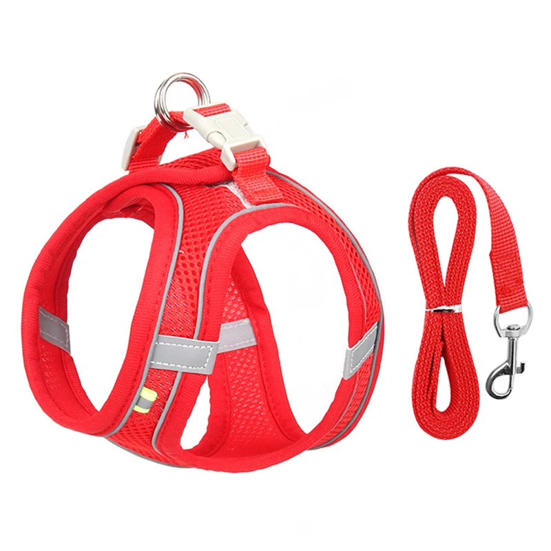 Adjustable Dog & Cat Harness with Leash – Small Breeds