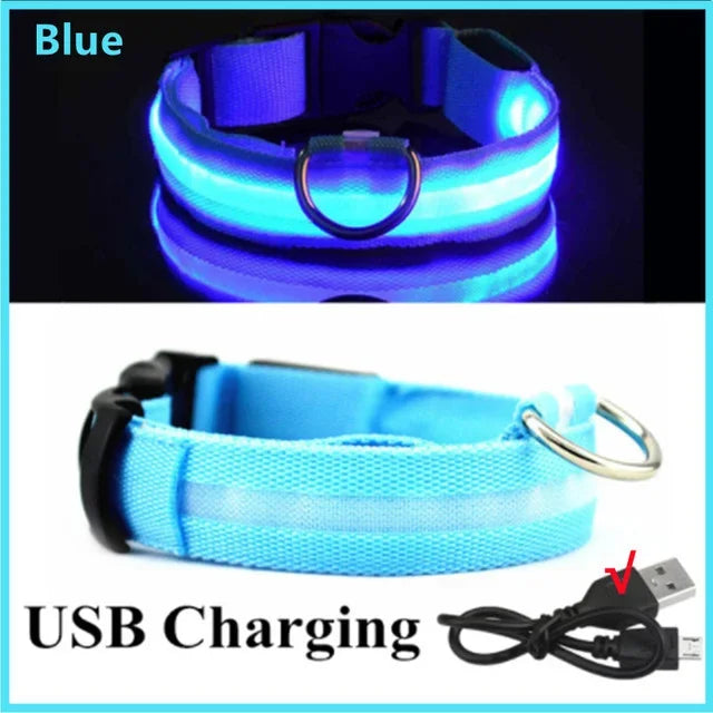 LED Glowing Dog Collar – Adjustable Rechargeable Night Safety Light