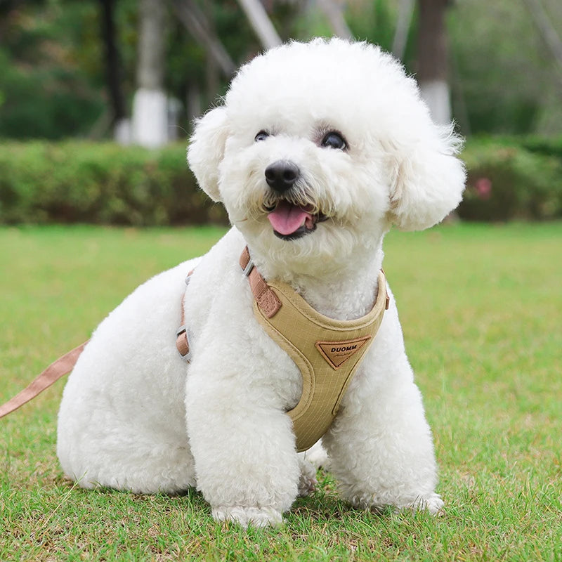 Puppy & Small Dog Harness with Leash – Breathable Vest
