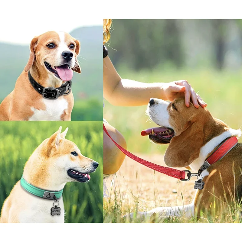 Padded Reflective Dog Collar – Heavy Duty Adjustable