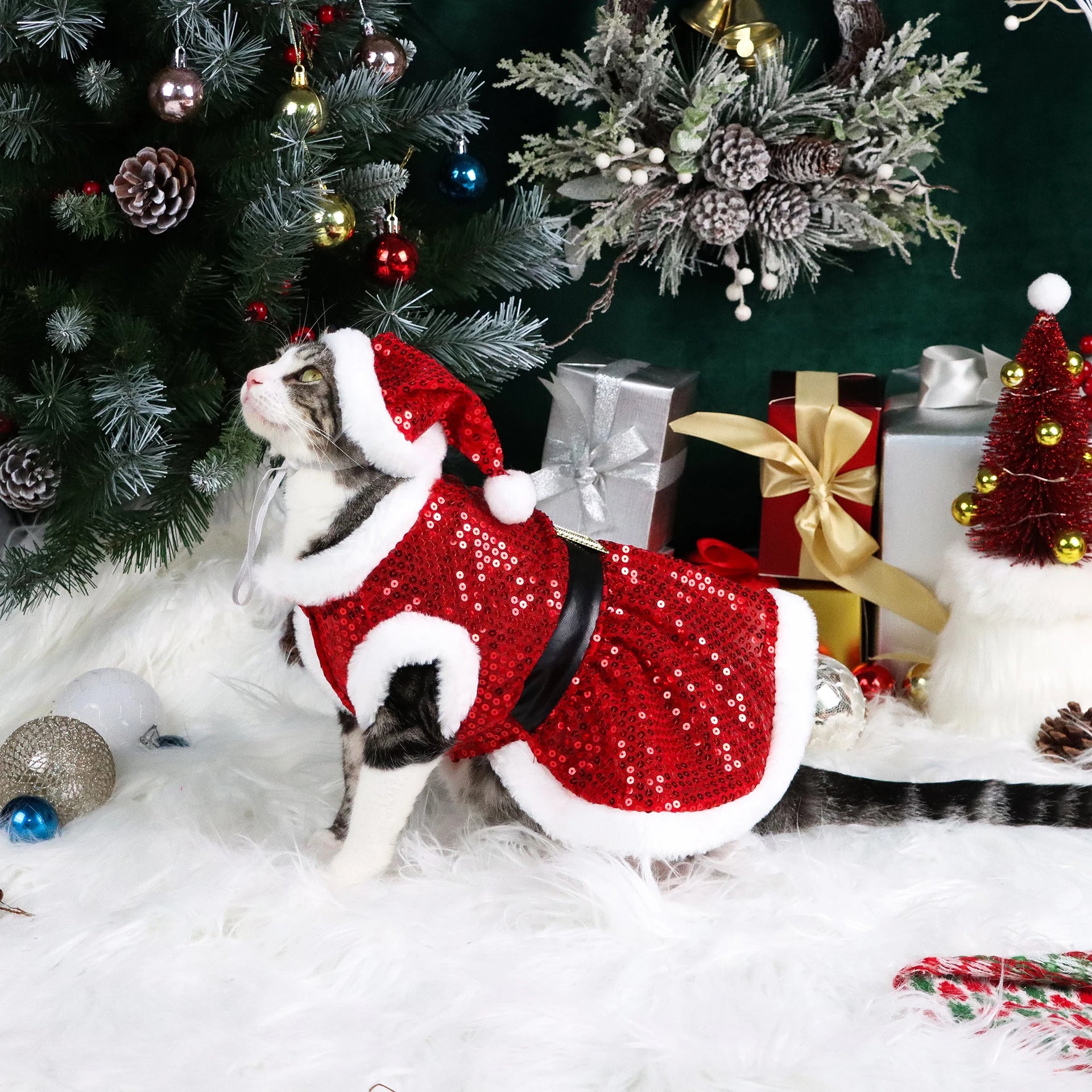 Set of 2 Christmas Pet Dresses – Velvet & Sequin Holiday Outfits for Dogs & Cats