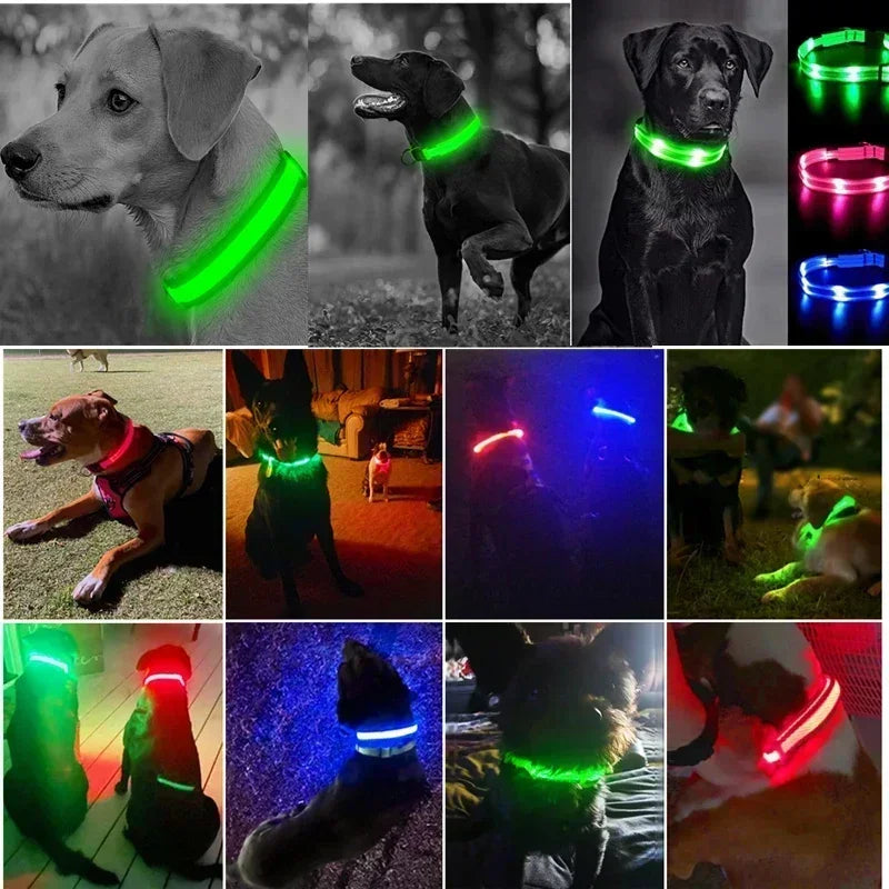 LED Glowing Dog Collar – Adjustable Rechargeable Night Safety Light