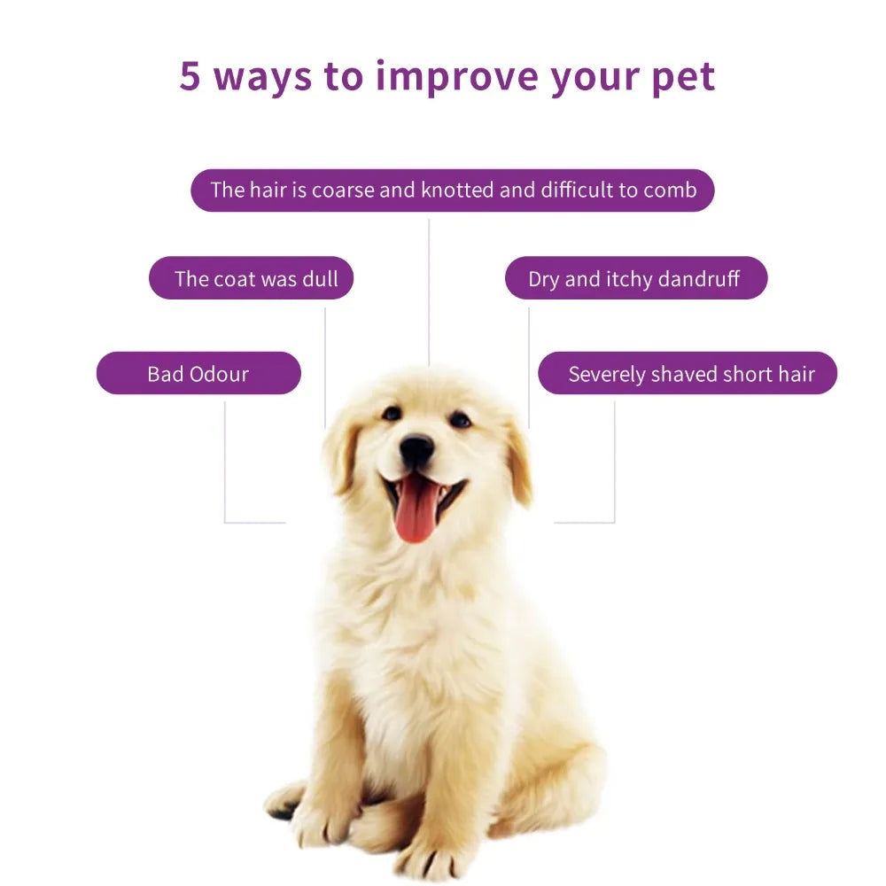 Gentle Pet Shampoo – Odor-Removing Body Wash for Dogs & Cats (228ml)