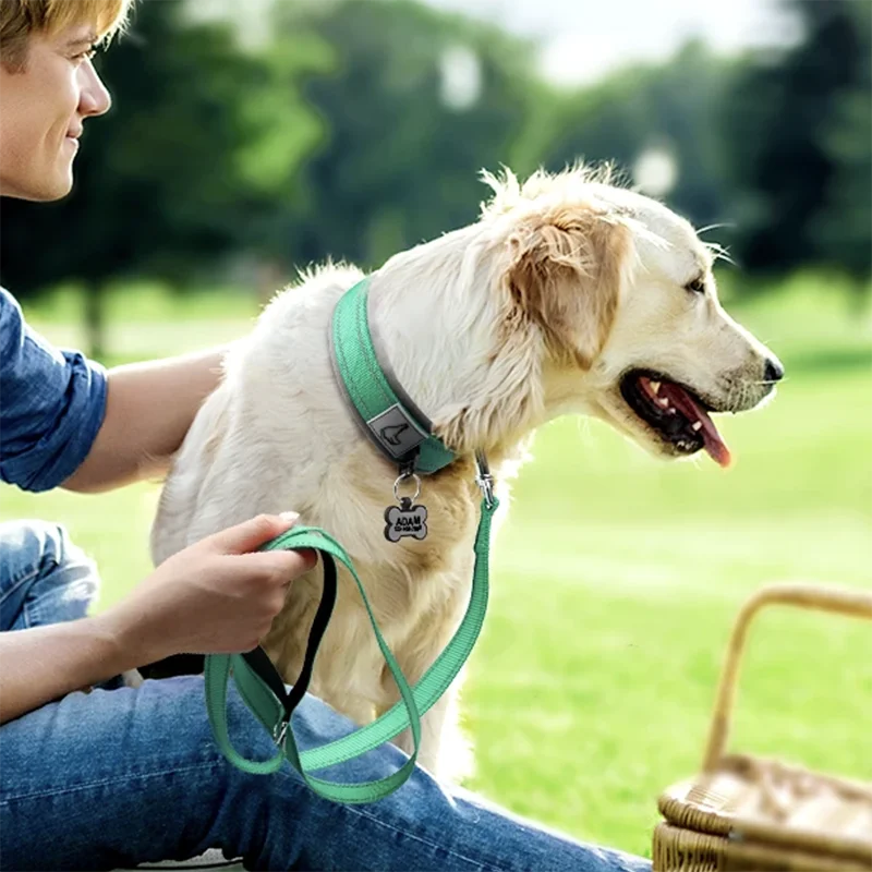 Padded Reflective Dog Collar – Heavy Duty Adjustable
