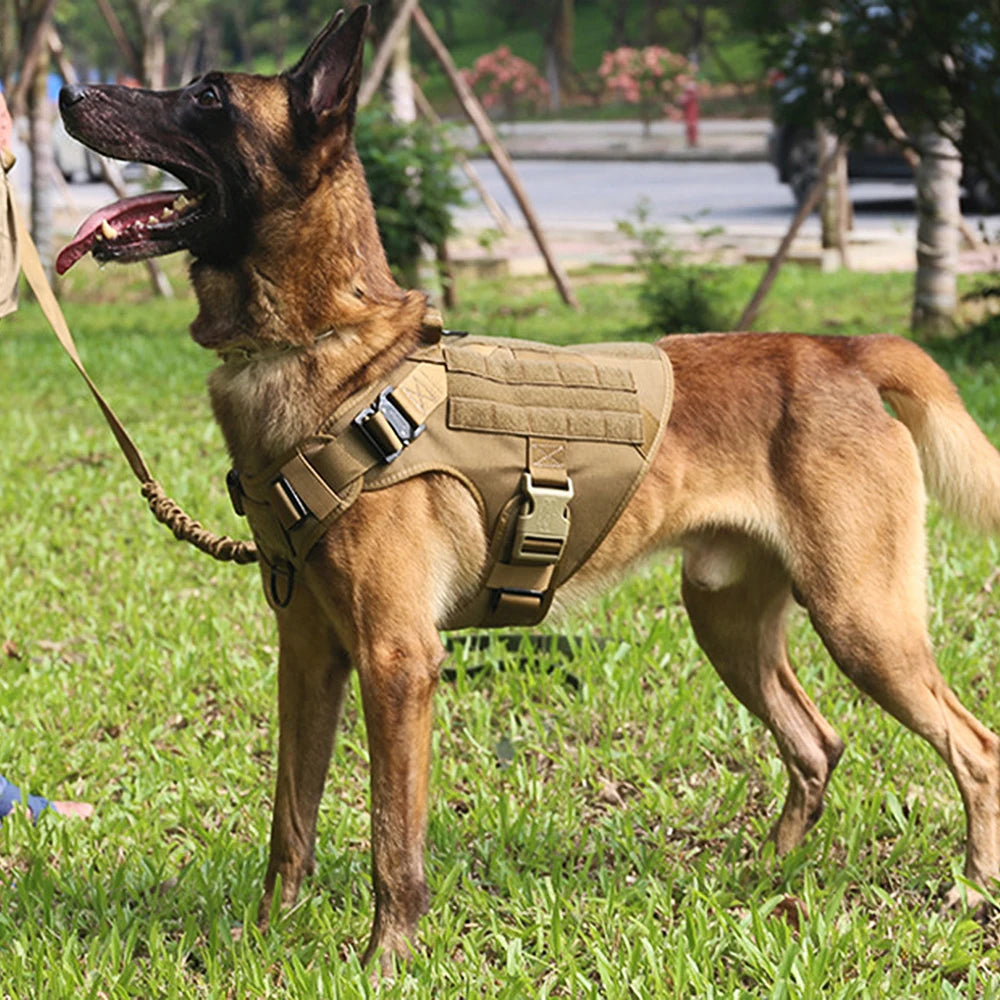Large Dog Harness & Leash Set – Training Vest for Medium & Large Dogs