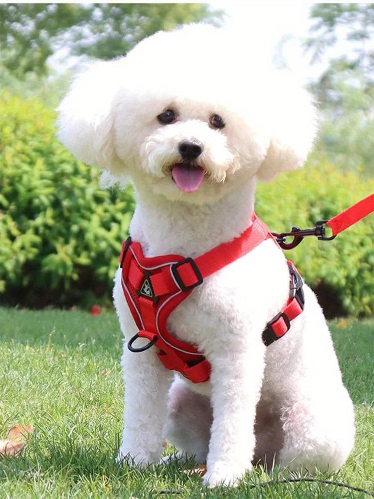 No-Pull Adjustable Dog & Cat Harness with Leash