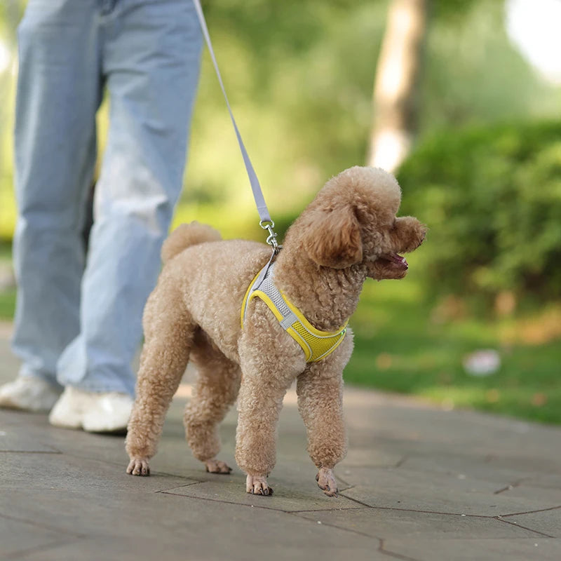 Adjustable Dog & Cat Harness with Leash – Small Breeds