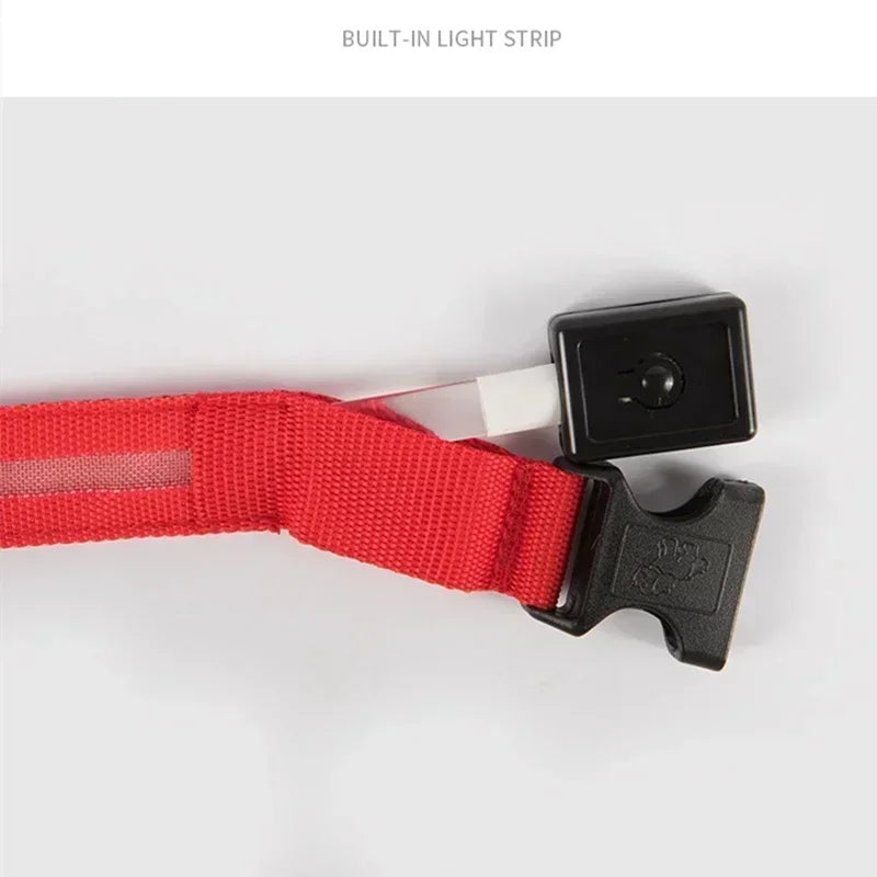 LED Glowing Dog Collar – Adjustable Rechargeable Night Safety Light