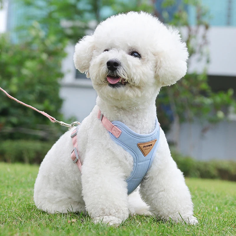 Puppy & Small Dog Harness with Leash – Breathable Vest