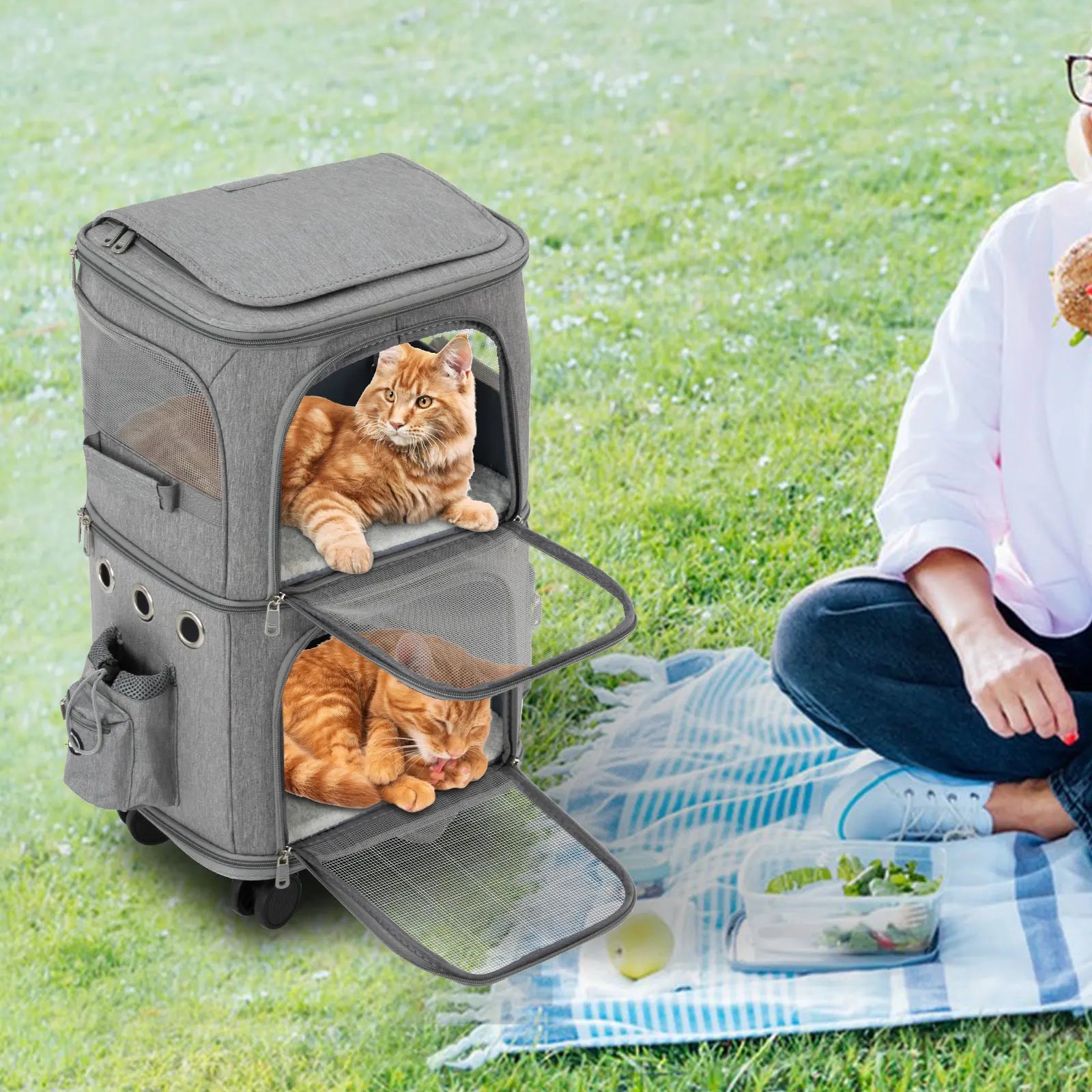 Double-Compartment Cat & Pet Rolling Carrier – Ventilated Travel Bag