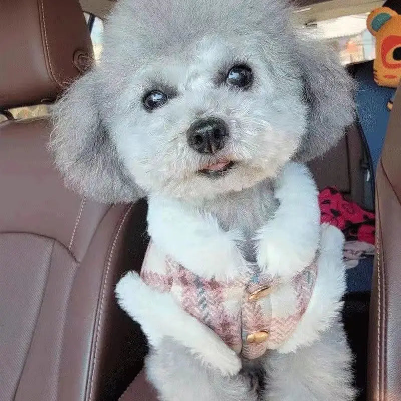 Winter Fur Collar Dog Jacket – Warm Coat for Small & Medium Pets