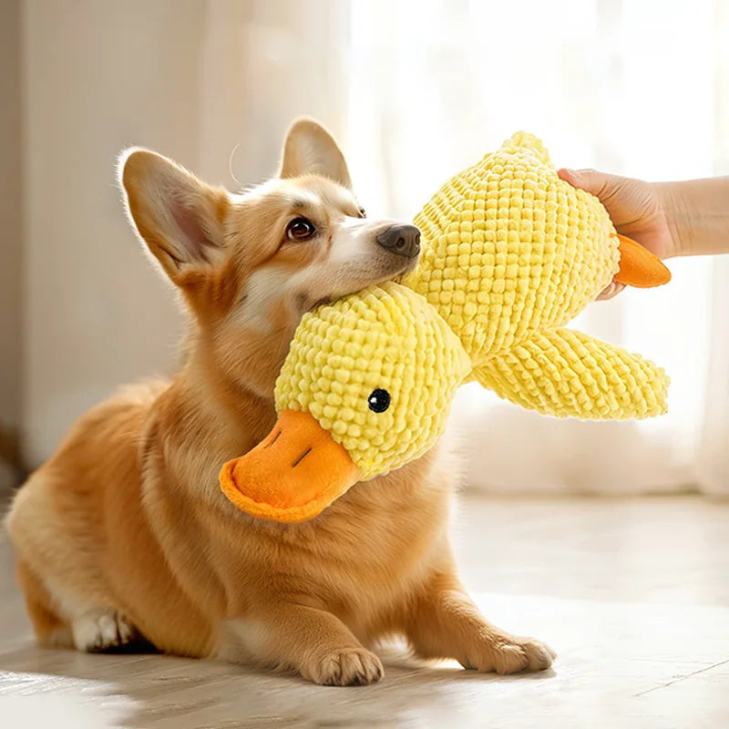 Indestructible Chew Toy – Interactive Plush for Cats & Dogs
