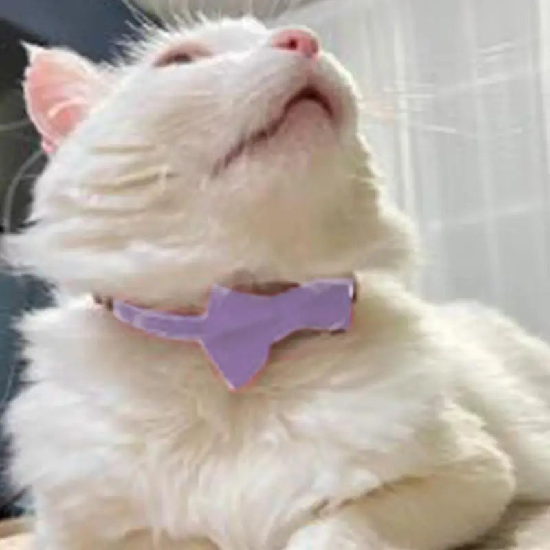 Adjustable Bow Collar with Bell – Solid Color for Puppies & Cats