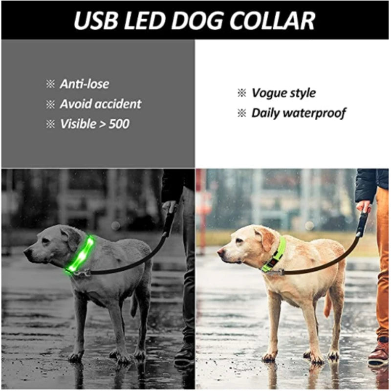 Keep Your Pet Safe at Night – 3-Mode USB LED Glow Collar for Dogs & Cats