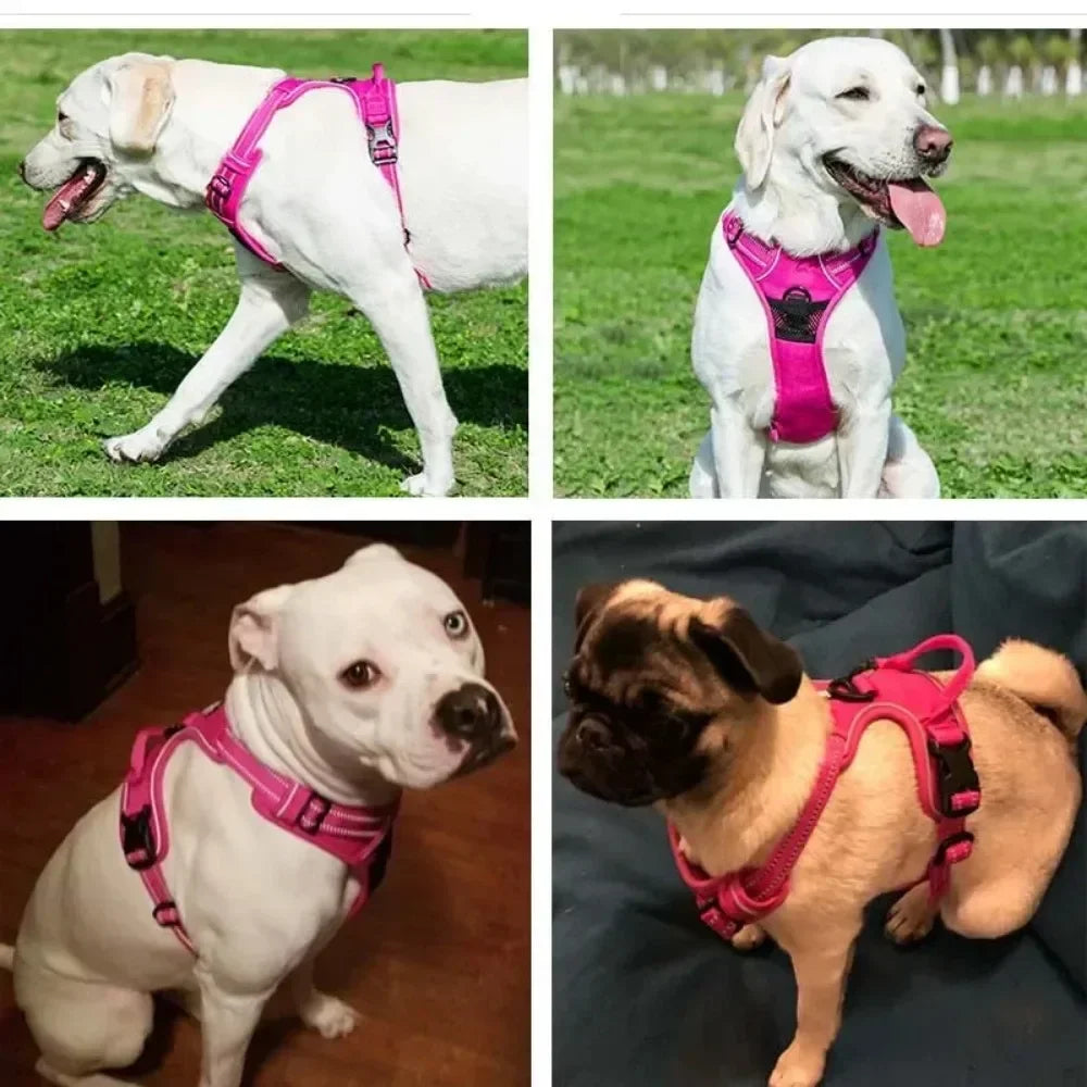 Reflective Adjustable Dog & Cat Harness Vest