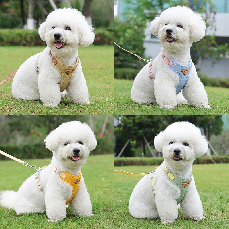 Puppy & Small Dog Harness with Leash – Breathable Vest