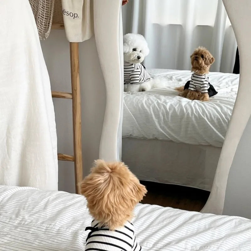Summer Striped Dog Dress