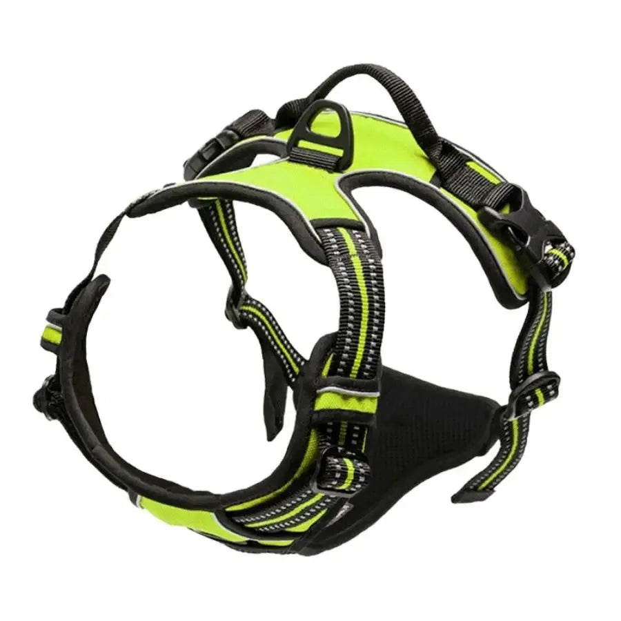 Dog Collar, Harness & Leash Set – Leather Puppy Accessories
