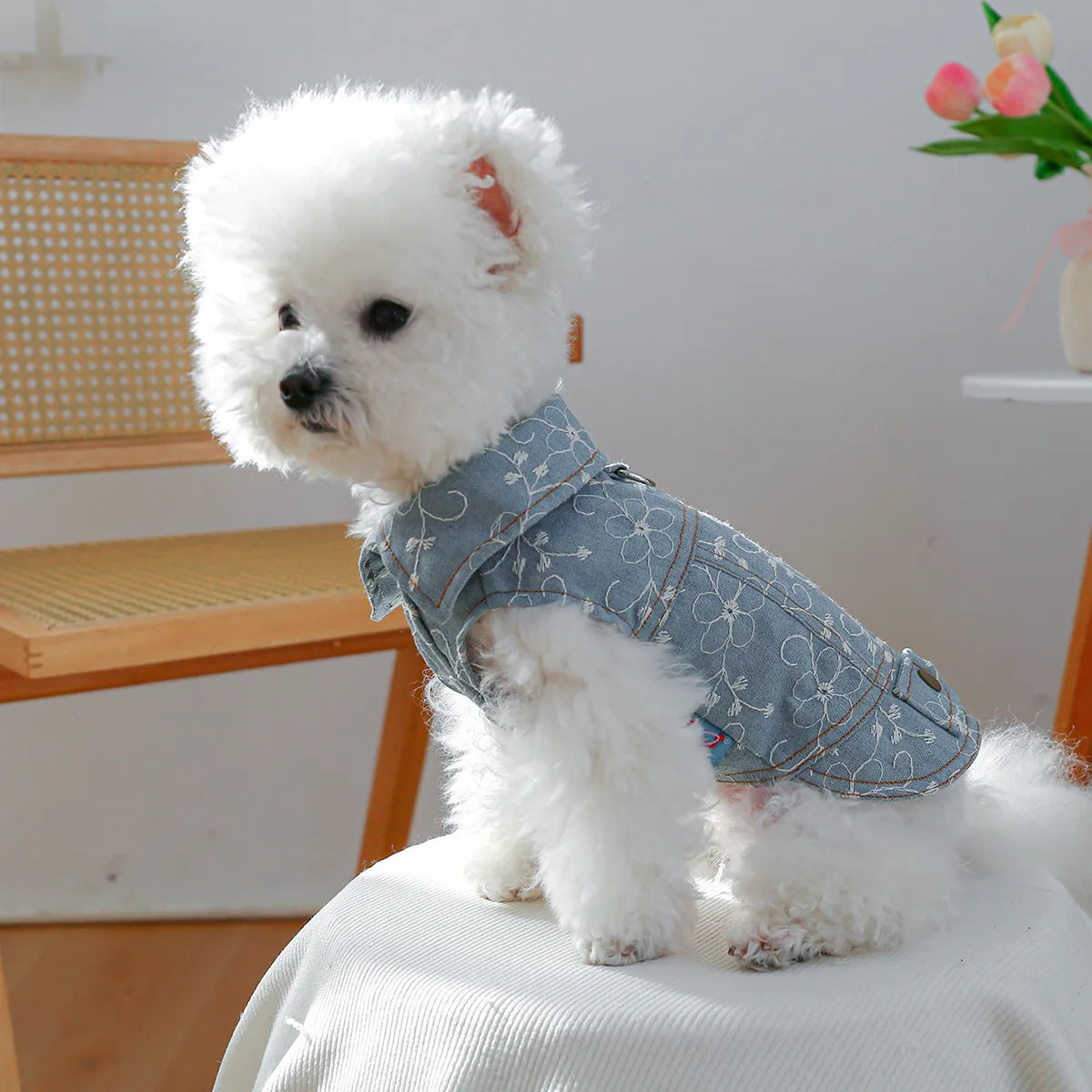 Denim Doggie Jacket – Stylish Sleeveless Jean Vest for Pets