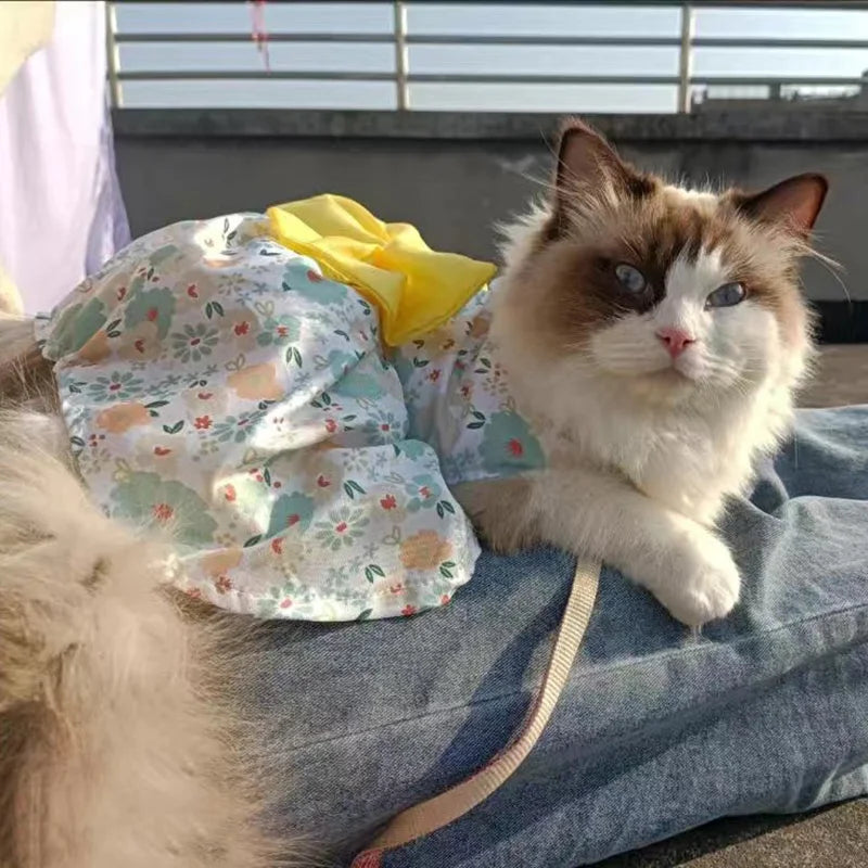 Fashion Cat & Puppy Dress with Bow – Small Dog & Cat Clothing