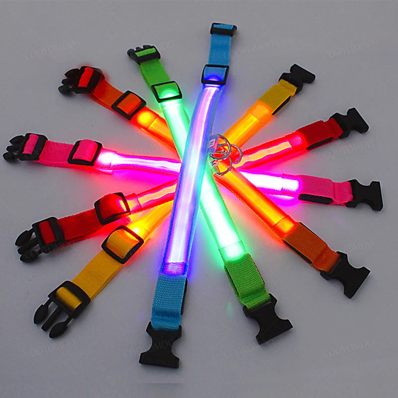 Keep Your Pet Safe at Night – 3-Mode USB LED Glow Collar for Dogs & Cats